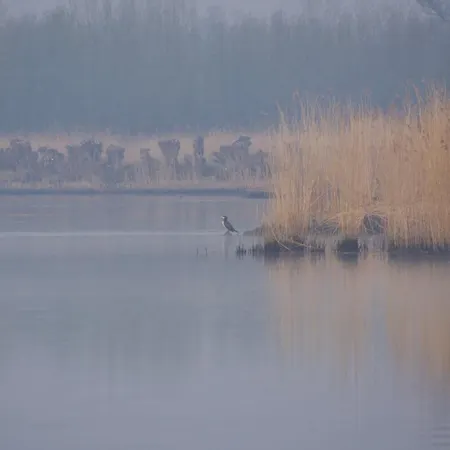 샬레 Aquahome - Np De Biesbosch - Bijzonder Overnachten Op Houseboat!